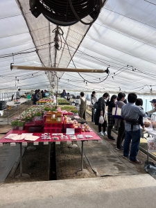202504hirata01.jpg