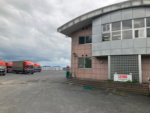 202609seiwakonpo02.jpg